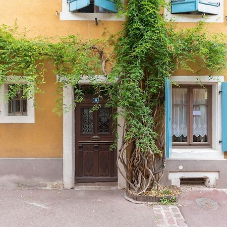Travel Homes -The Cigogne, Quiet & Heart Of 科尔马 外观 照片