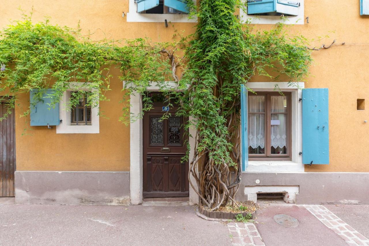 Travel Homes -The Cigogne, Quiet & Heart Of 科尔马 外观 照片